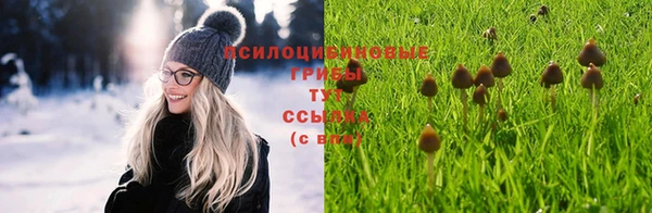 спайс Алексеевка