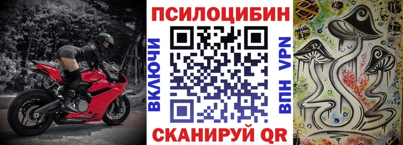Псилоцибиновые грибы мицелий Спасск